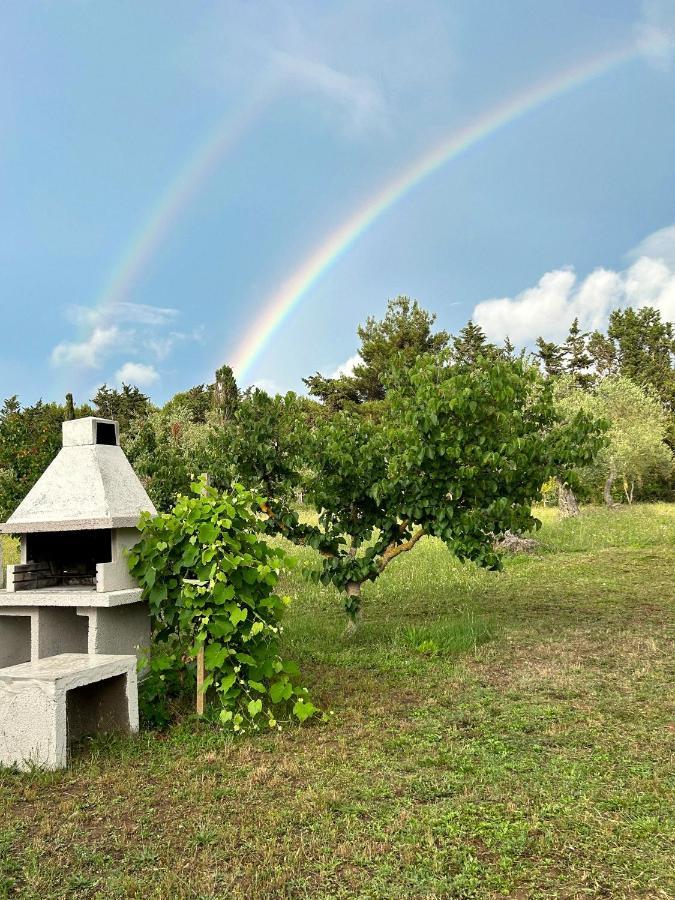 הוילה אלגהרו Casa Del Mate מראה חיצוני תמונה